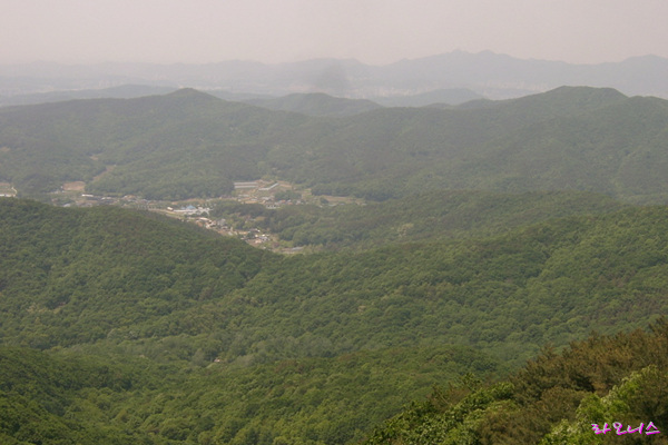 사용자 삽입 이미지