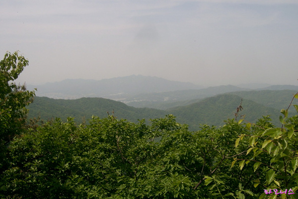 사용자 삽입 이미지